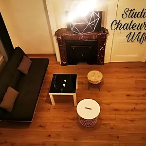 La Croisade-studio-hyper Centre Tassin- 1 Appartement